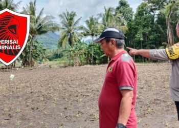 Bhabinkamtibmas Polsek Binuang Meninjau Lokasi Lahan Pertanian di Desa Paku
