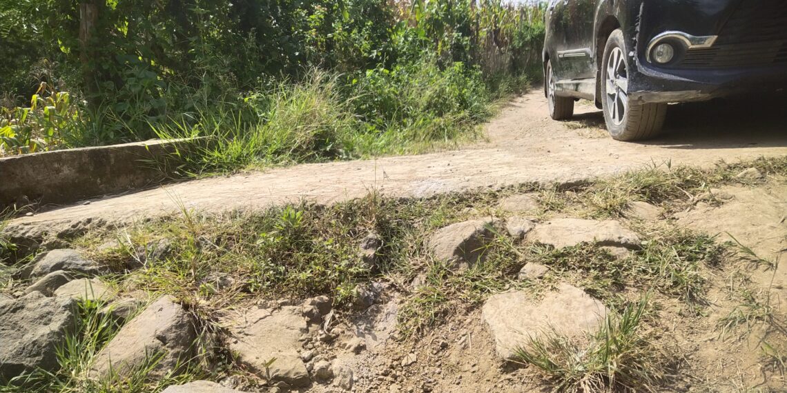 filter: 0; fileterIntensity: 0.0; filterMask: 0; module: j; 
hw-remosaic: 0; 
touch: (-1.0, -1.0); 
modeInfo: ; 
sceneMode: Hdr; 
cct_value: 0; 
AI_Scene: (-1, -1); 
aec_lux: 92.17318; 
hist255: 0.0; 
hist252~255: 0.0; 
hist0~15: 0.0;