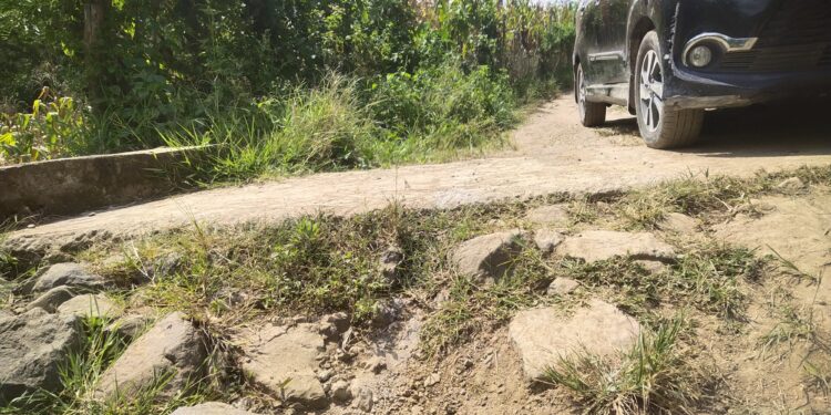 filter: 0; fileterIntensity: 0.0; filterMask: 0; module: j;
hw-remosaic: 0;
touch: (-1.0, -1.0);
modeInfo: ;
sceneMode: Hdr;
cct_value: 0;
AI_Scene: (-1, -1);
aec_lux: 92.17318;
hist255: 0.0;
hist252~255: 0.0;
hist0~15: 0.0;